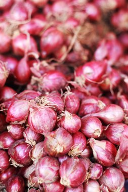 scalogno - cipolla rossa di asia nel mercato