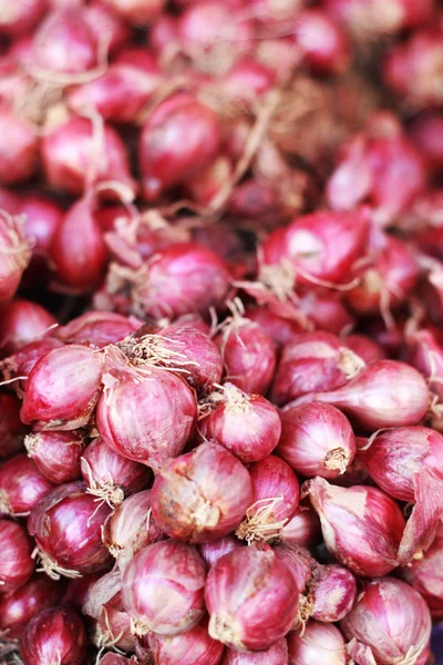 Shallot - cebolla roja de asia en el mercado — Foto de Stock