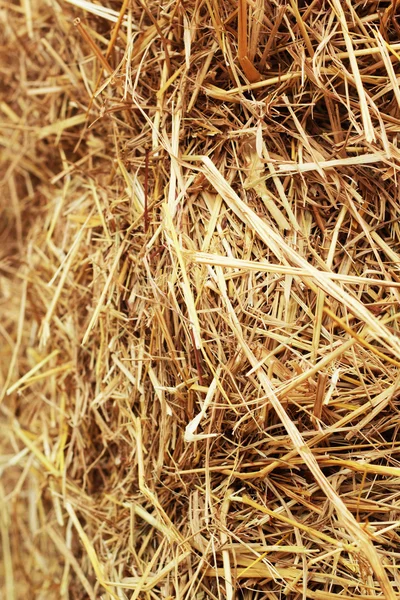 Close-up van hooi stro stapel textuur, landbouw achtergrond — Stockfoto