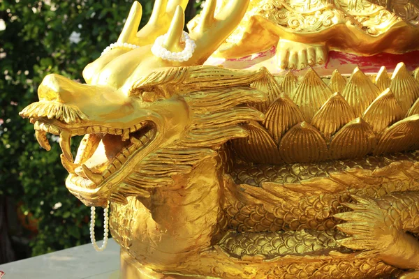 Golden dragon skulptur i ett tempel. — Stockfoto