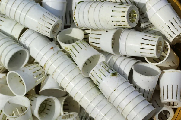 Petits pots en plastique cultivent des légumes biologiques . — Photo