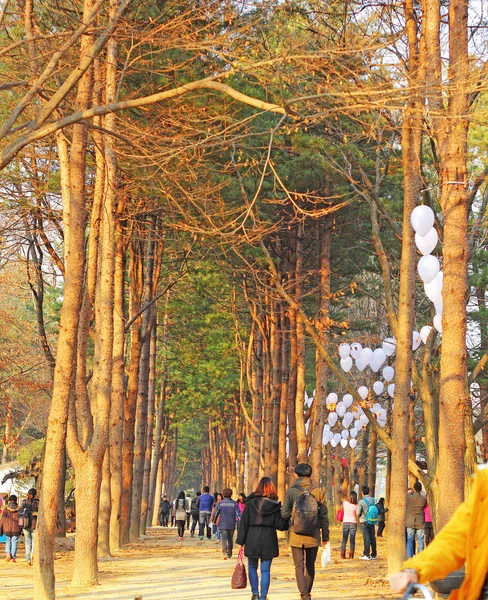 НАМИСЕОМ - 26 НОЯБРЯ: Туристы посещают традиционный корейский с — стоковое фото