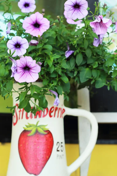 Lila Blüten in einer Vase — Stockfoto