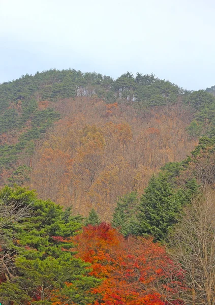 韓国雪岳山の美しい風景. — ストック写真