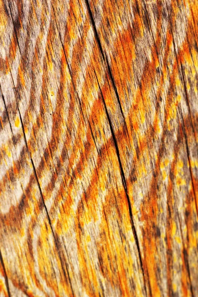 Textura de fondo de madera vieja - vintage —  Fotos de Stock