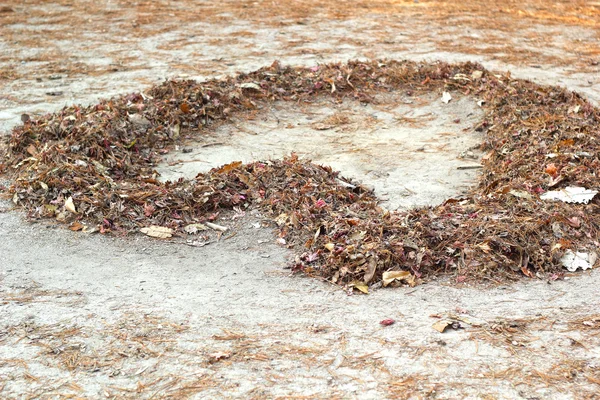 Las hojas en forma de corazón en el suelo . — Foto de Stock