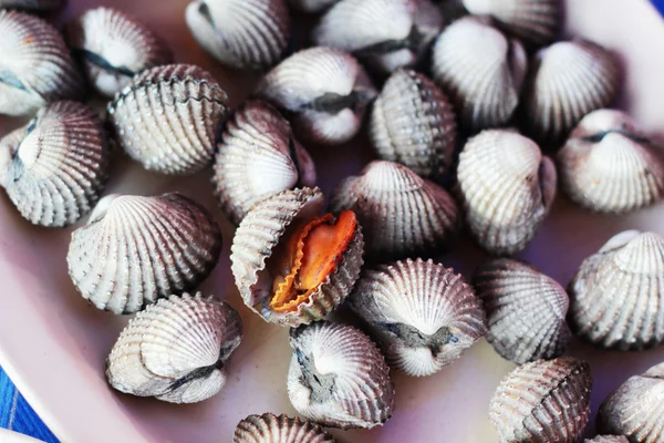 Gros plan de la coquille fraîche — Photo