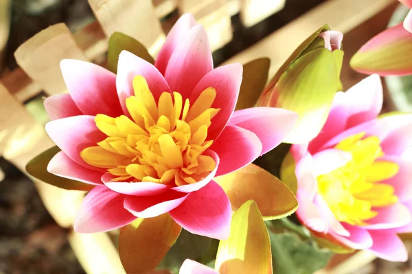 Yapay çiçek güzel lotus. — Stok fotoğraf