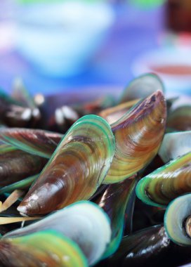 Green mussel baked in a pot clipart