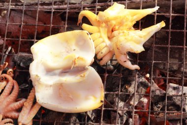 b-Barbekü Izgara kalamar piyasada