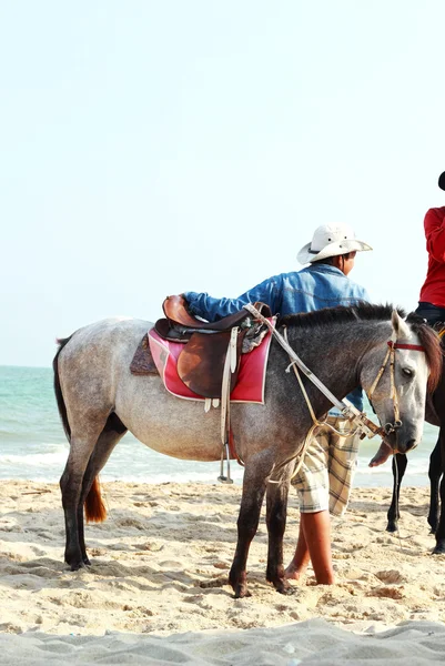 Hommes avec des chevaux sur la plage — Photo