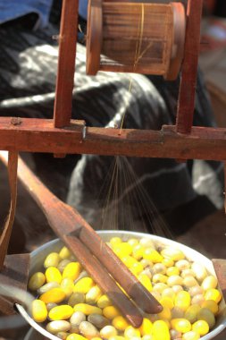 Koza ipekböceği yapımı