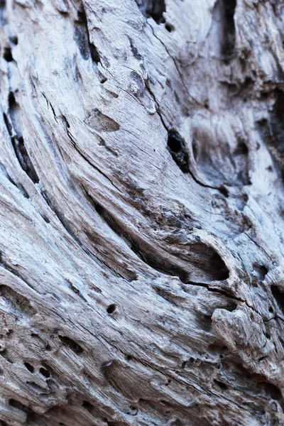Brun gammal trä bakgrundsstruktur — Stockfoto