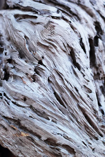 Brown old wood background texture — Stock Photo, Image