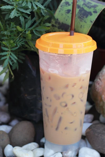 Iced coffee in the garden — Stock Photo, Image