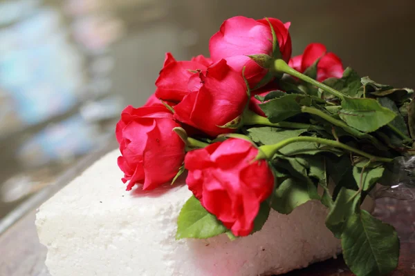 Červená růže umístěné na přídi. — Stock fotografie