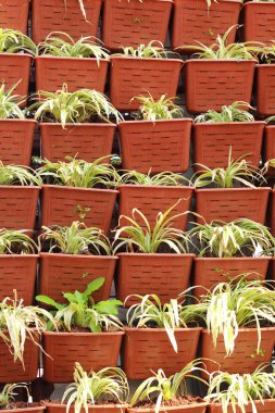 kahverengi ağaç yığılmış tencere seti a yüksek