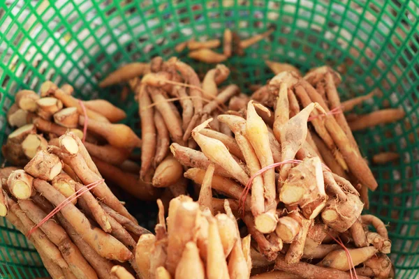 Vingerwortel kruid in Azië - in markt — Stockfoto