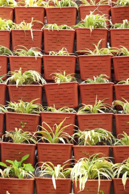 kahverengi ağaç yığılmış tencere seti a yüksek