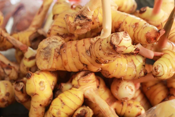 Racine de gingembre sur le marché — Photo