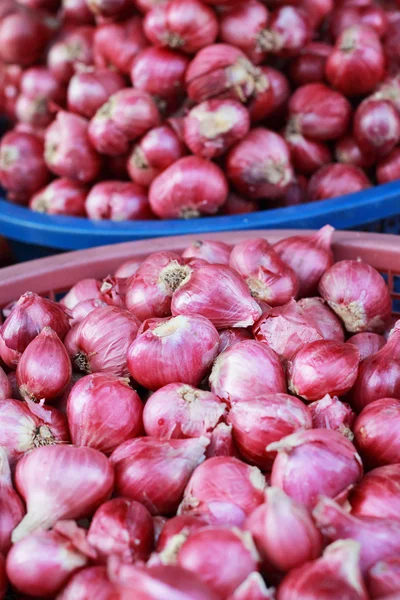 Shallot - cebolla roja de asia en el mercado — Foto de Stock