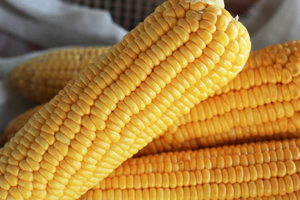 Świeża kukurydza na rynku — Zdjęcie stockowe