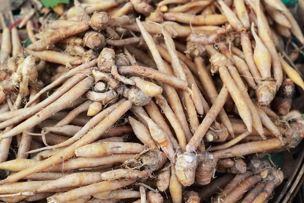 Fingerwurzkraut in Asien auf dem Markt — Stockfoto