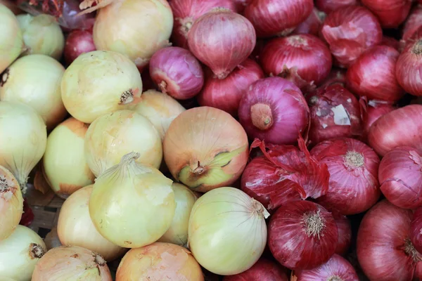 Gros oignon avec oignon rouge sur le marché — Photo