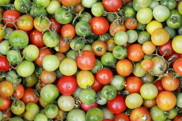 Tomates frescos en el mercado —  Fotos de Stock