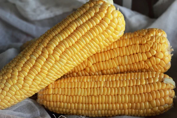 Świeża kukurydza na rynku — Zdjęcie stockowe