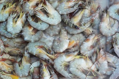 buz - pazarda taze karides