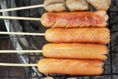 Izgara Köfte şişler