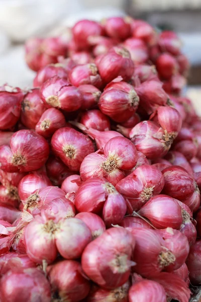Шалот - азия красный лук на рынке — стоковое фото