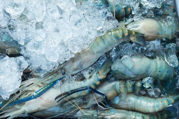 Crevettes fraîches sur glace - sur le marché — Photo