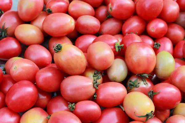 Tomates frescos no mercado — Fotografia de Stock