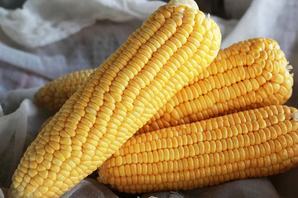 Fresh sweet corn in the market — Stock Photo, Image