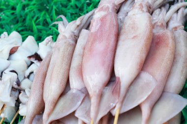 b-Barbekü Izgara kalamar piyasada