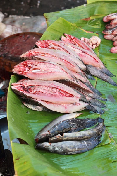 Pazarda taze balık.