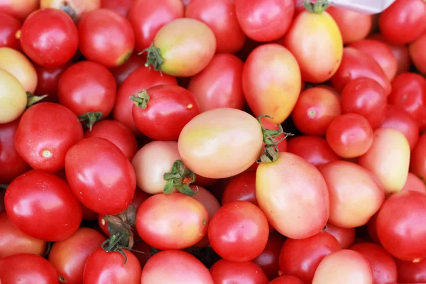 Tomates frescos no mercado — Fotografia de Stock