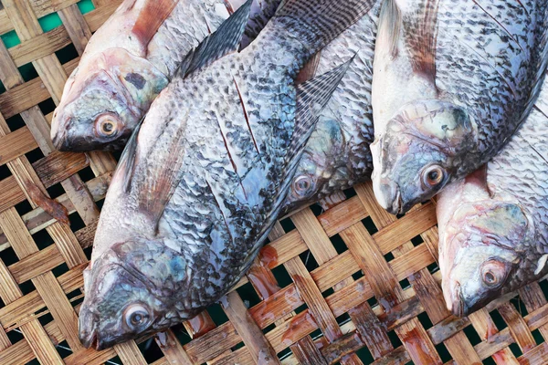 Pescado fresco en el mercado. — Foto de Stock