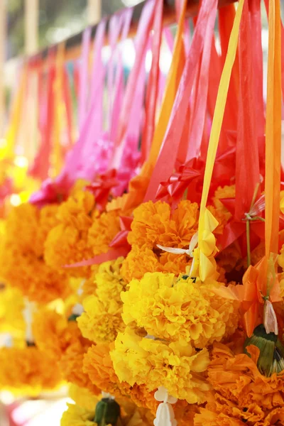 Цветок Мэриголд на рынке — стоковое фото