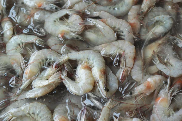 在市场中的鲜虾 — 图库照片