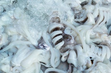 Piyasada taze mürekkep balığı