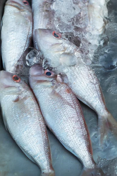Čerstvé ryby na ledě na trhu. — Stock fotografie