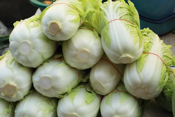 Fresh cabbage in the market. — Stock Photo, Image