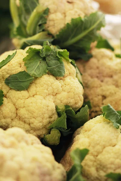 Cerca de la coliflor en el huerto — Foto de Stock