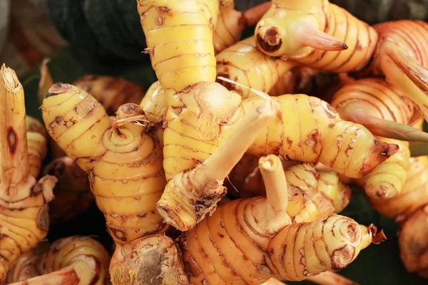 Akar jahe di pasar — Stok Foto