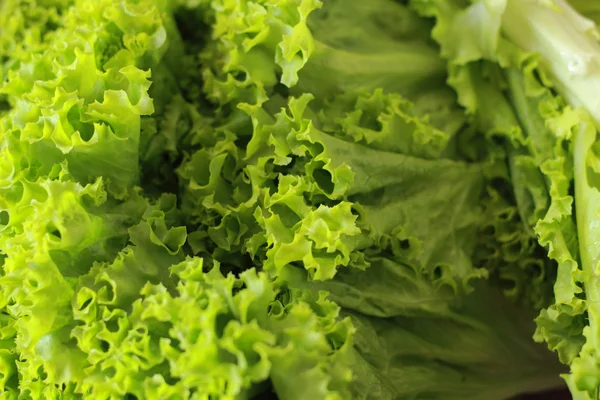 Frischer Salat auf dem Markt. — Stockfoto