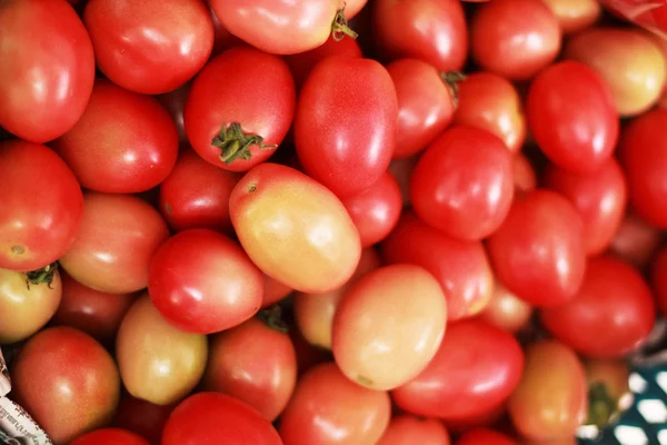 Färska tomater på marknaden — Stockfoto