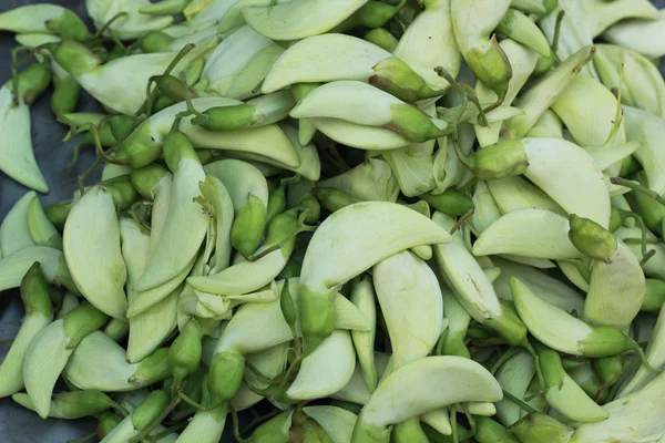 Świeże warzywa - grandiflora sesbania na rynku. — Zdjęcie stockowe